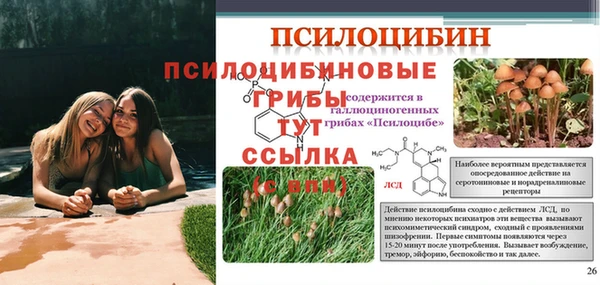 ПСИЛОЦИБИНОВЫЕ ГРИБЫ Навашино