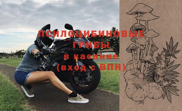 мдпв Надым