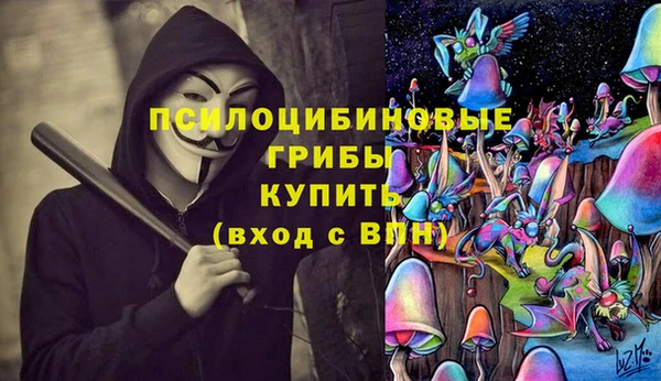 дмт Верея