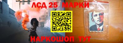 шишки Аргун