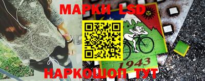 шишки Аргун