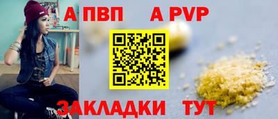шишки Аргун