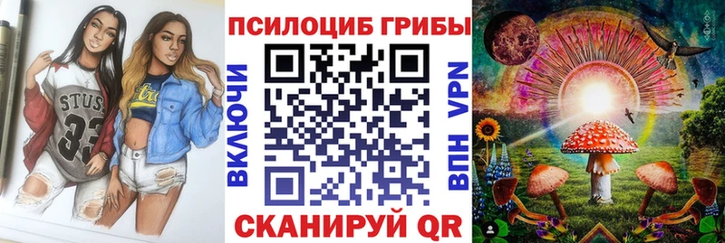 Галлюциногенные грибы Psilocybe Ногинск