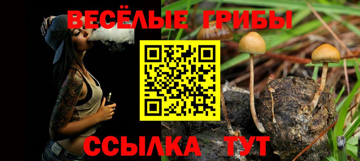 Галлюциногенные грибы мицелий  Вход с VPN  Псилоцибиновые грибы мицелий  Ногинск 