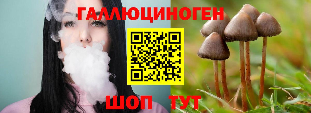 Галлюциногенные грибы Magic Shrooms Ногинск