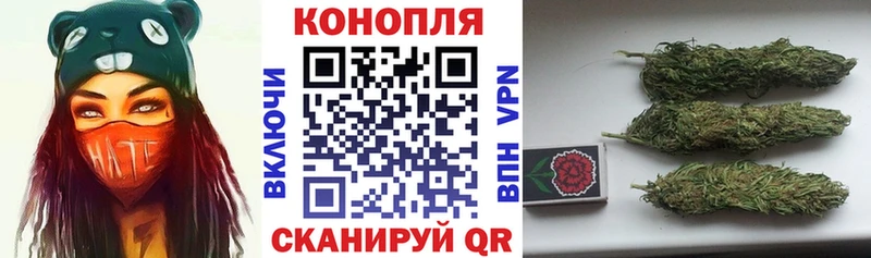купить Ногинск Бошки марихуана индика